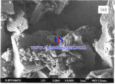 SiO2-AMT catalyst SEM image