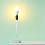 When any tungsten light bulb goes, replace it with an energy efficient ('ee') one