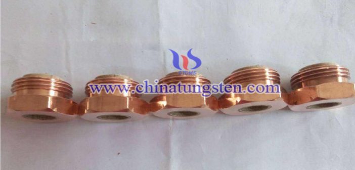 Tungsten Copper Nut Electrode Picture