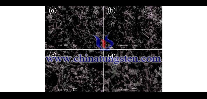 SEM images of F-doped cesium tungsten bronze annealed at different temperature for 30min under N2 atmosphere