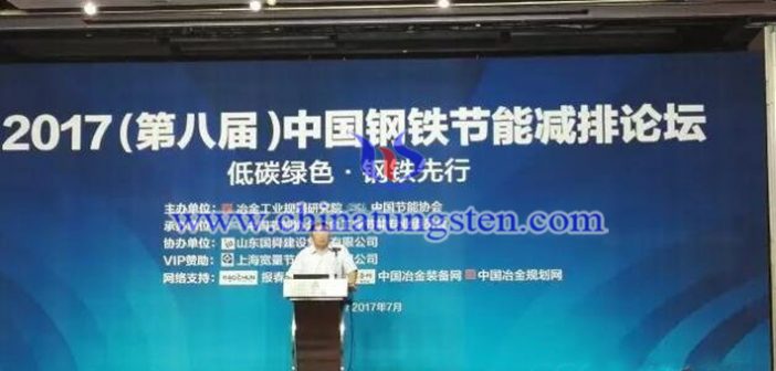 2017(第八届)中国钢铁节能减排论坛图片