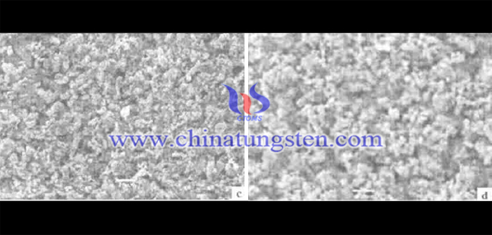 钨粉和碳化钨粉扫描电镜照片