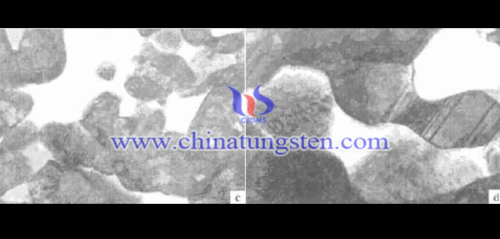 碳化钨粉制成薄膜样品后的TEM照片