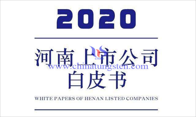 河南上市公司白皮书(2020)