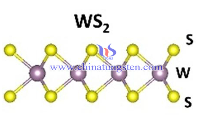 二硫化钨分子式图片