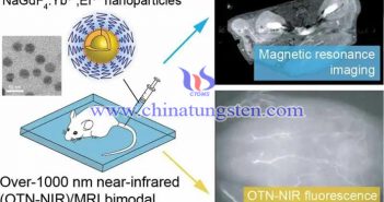 稀土掺杂纳米探针用于磁共振成像图片