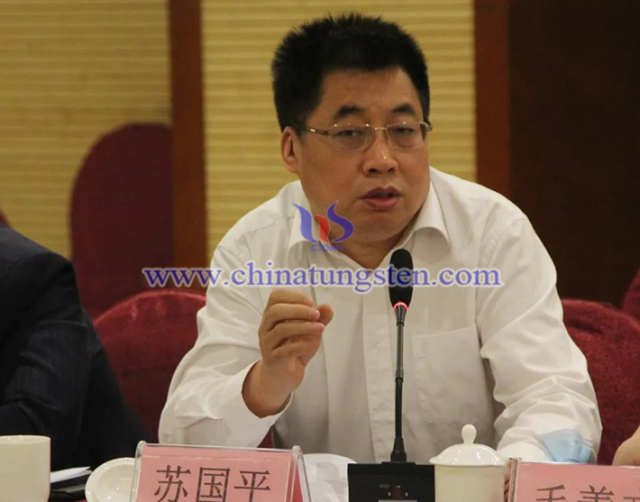 中国钨业协会主席团主席、安泰天龙钨钼科技有限公司董事苏国平