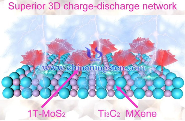 1T-MoS2/Ti3C2 MXene异质结构示意图（图源：F.Long/Chemical Engineering Journal）