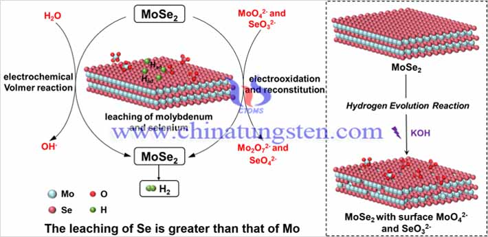MoSe2在碱性析氢反应中的应用图片（图源：Advanced Energy Materials）