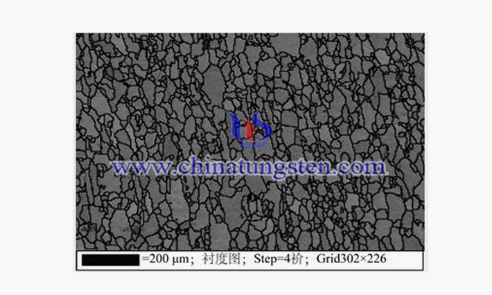 1150℃×1h钽钨铸锭热处理金相组织图片（来源：赵鑫/北京科技大学材料科学与工程学院）