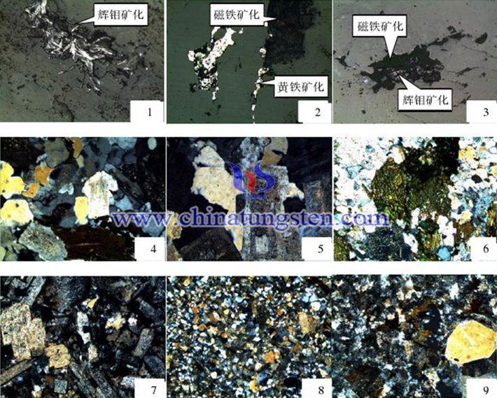 铜台钼矿床岩石标本光片图（图源：吉林大学）