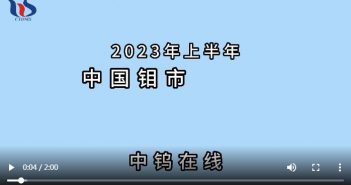 2023年上半年中国钼市场行情