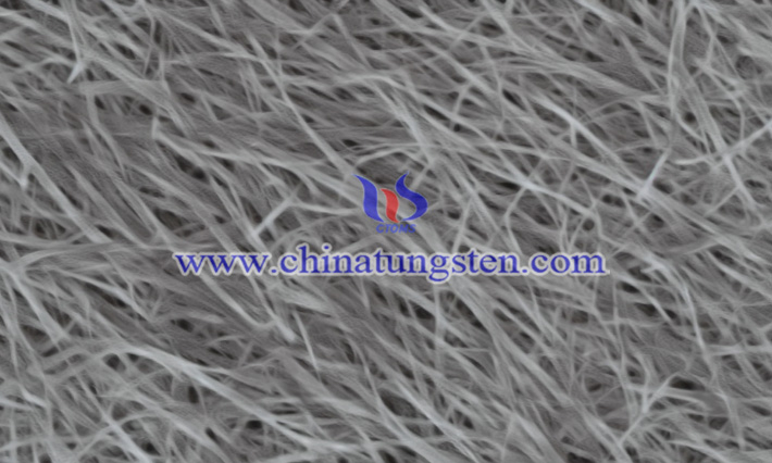 二硒化钨纳米线图片