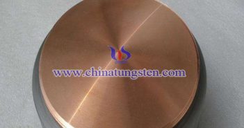Tungsten Copper Disk Picture